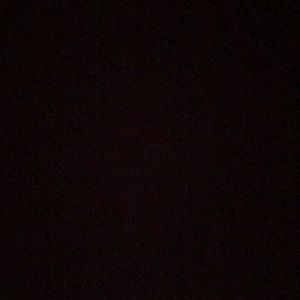 Meet your Posher, Nina